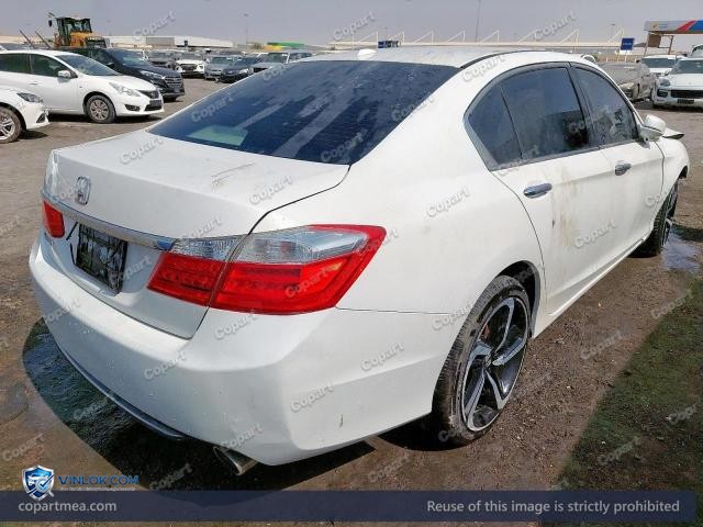 Auction photo