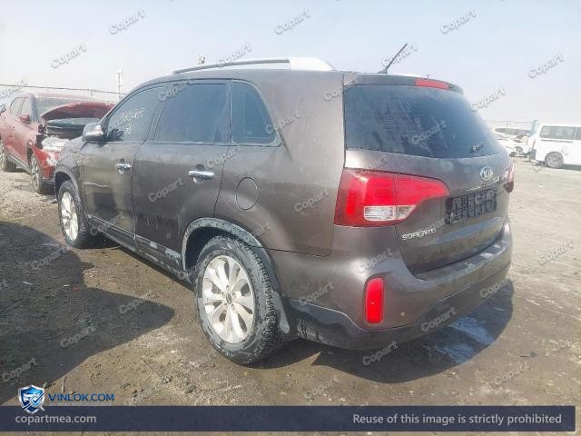 Auction photo