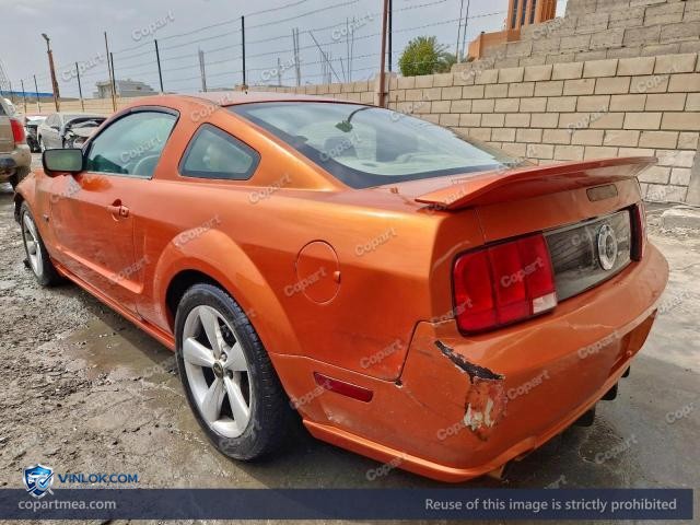 Auction photo