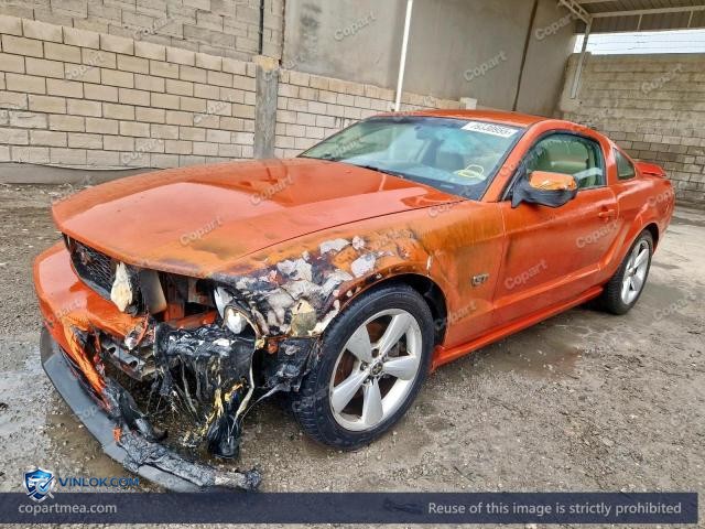 Auction photo