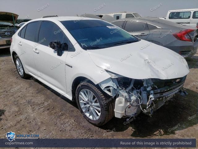 Auction photo
