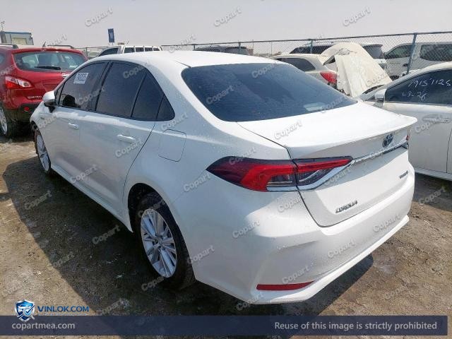 Auction photo