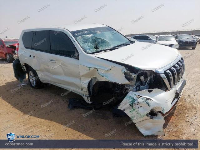 Auction photo