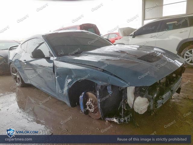 Auction photo