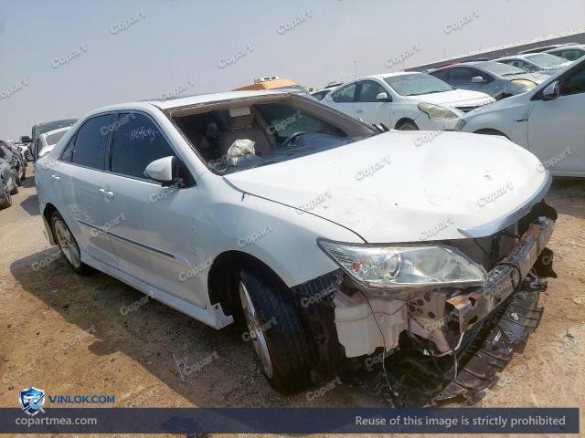 Auction photo