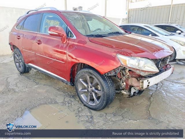 Auction photo