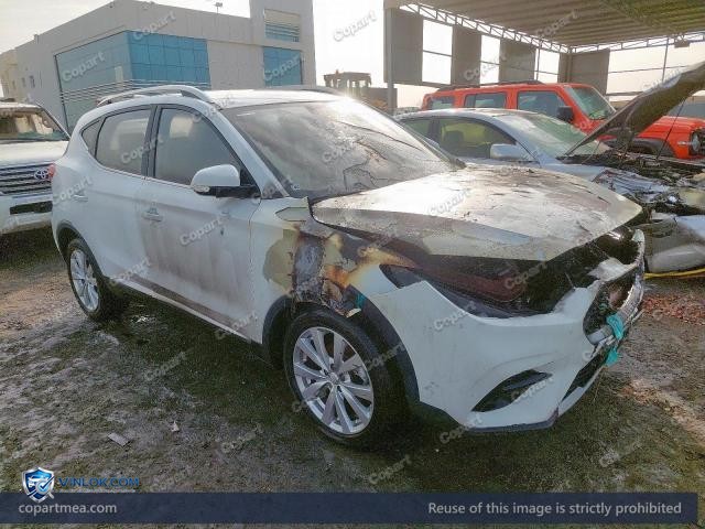 Auction photo