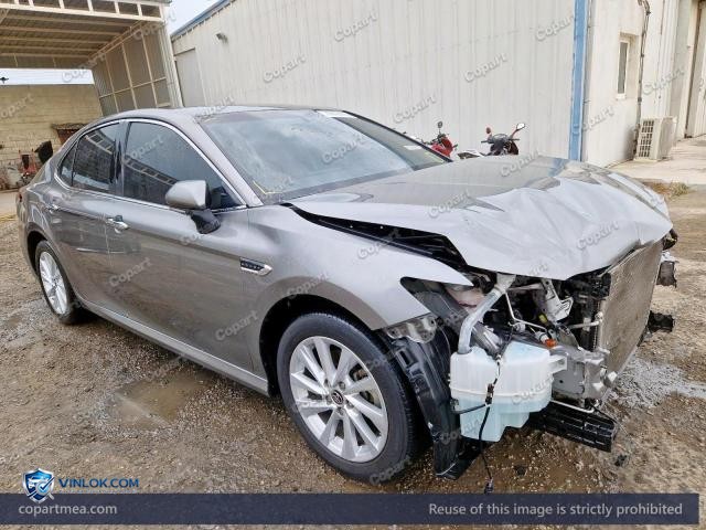 Auction photo