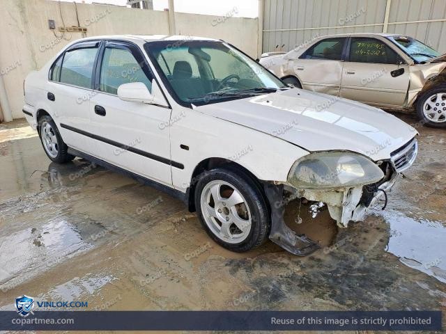 Auction photo