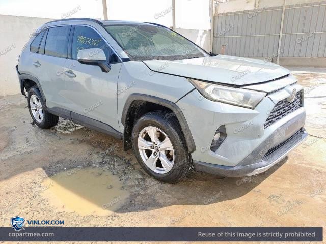 Auction photo