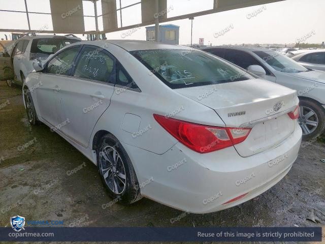 Auction photo