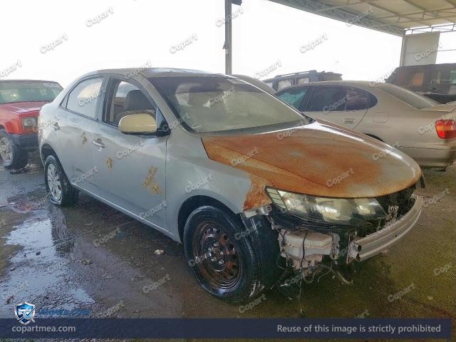 Auction photo