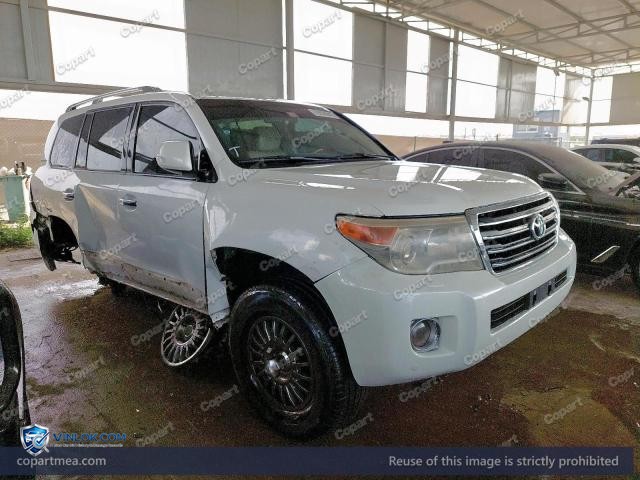 Auction photo