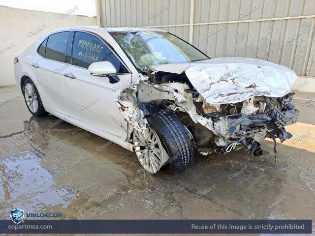 Auction photo
