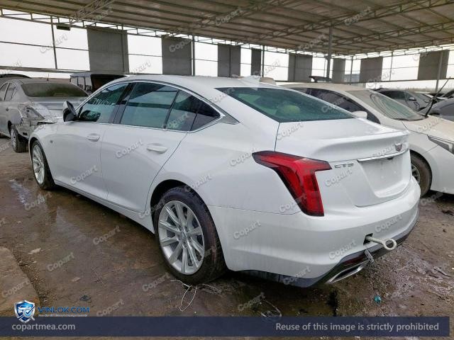 Auction photo