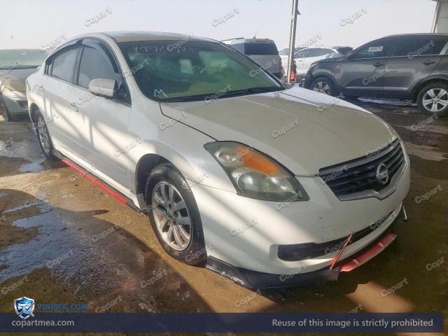 Auction photo