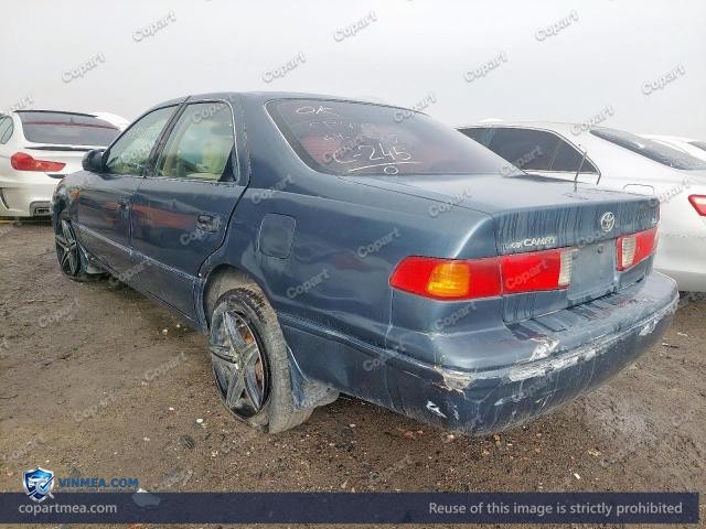 Auction photo