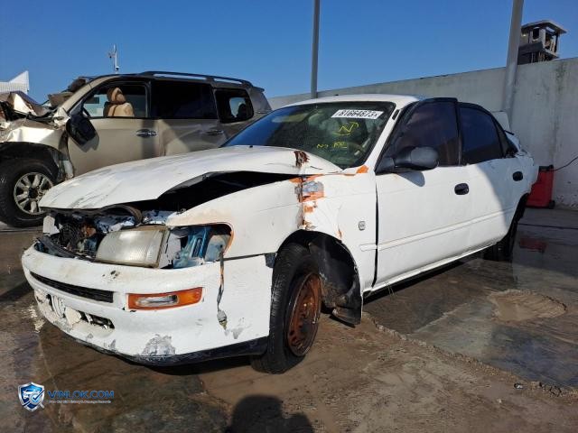 Auction photo
