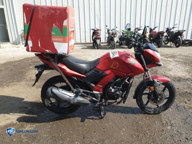 Auction photo