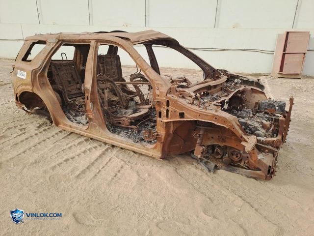 Auction photo