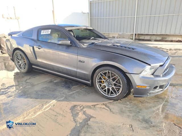 Auction photo