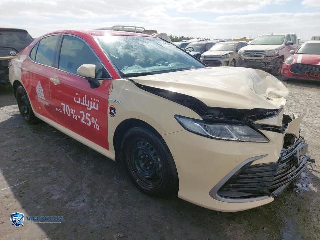 Auction photo