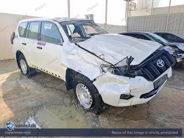 Auction photo