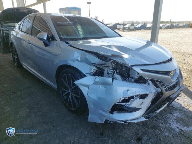 Auction photo