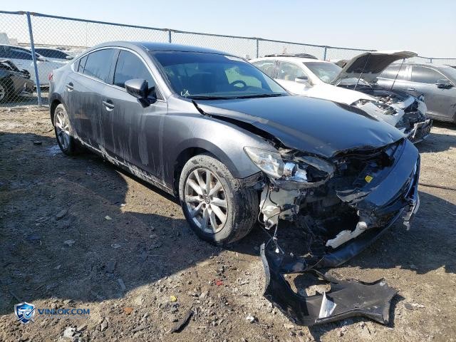Auction photo