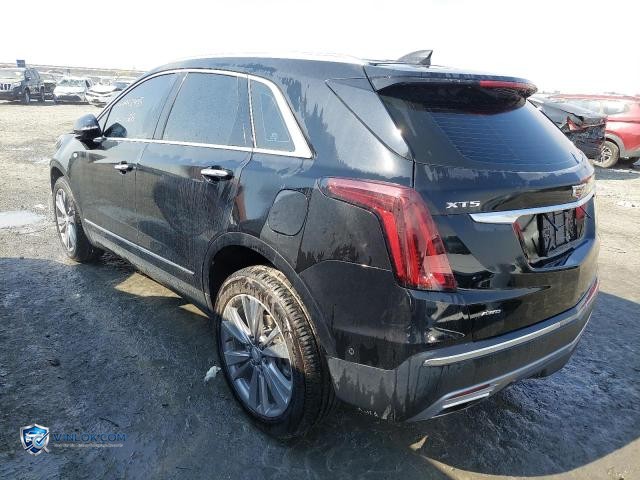 2023 CADILLAC XT5 — Lot 99952435 auction photo