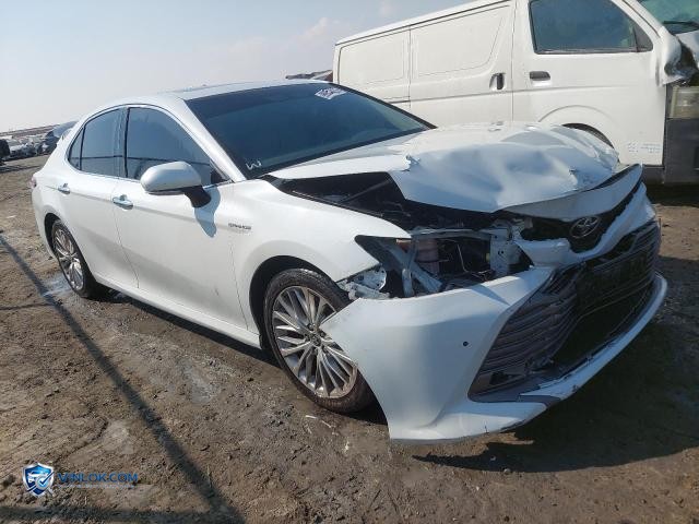 Auction photo