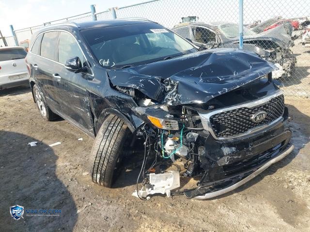 Auction photo