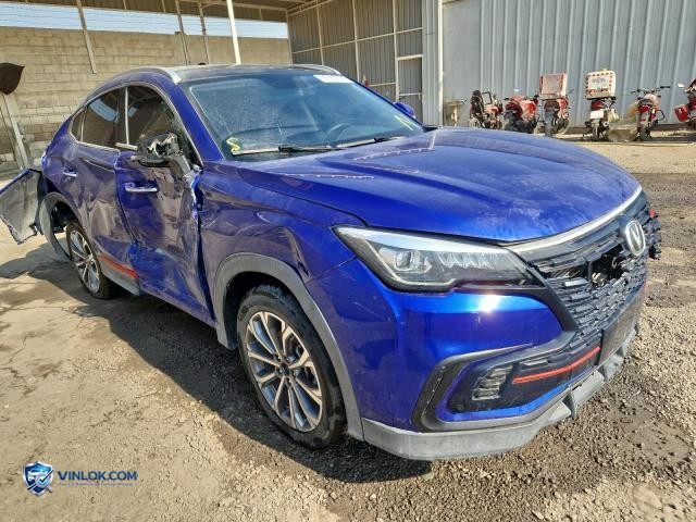2022 CHAN CS85 — Lot 99969435 auction photo
